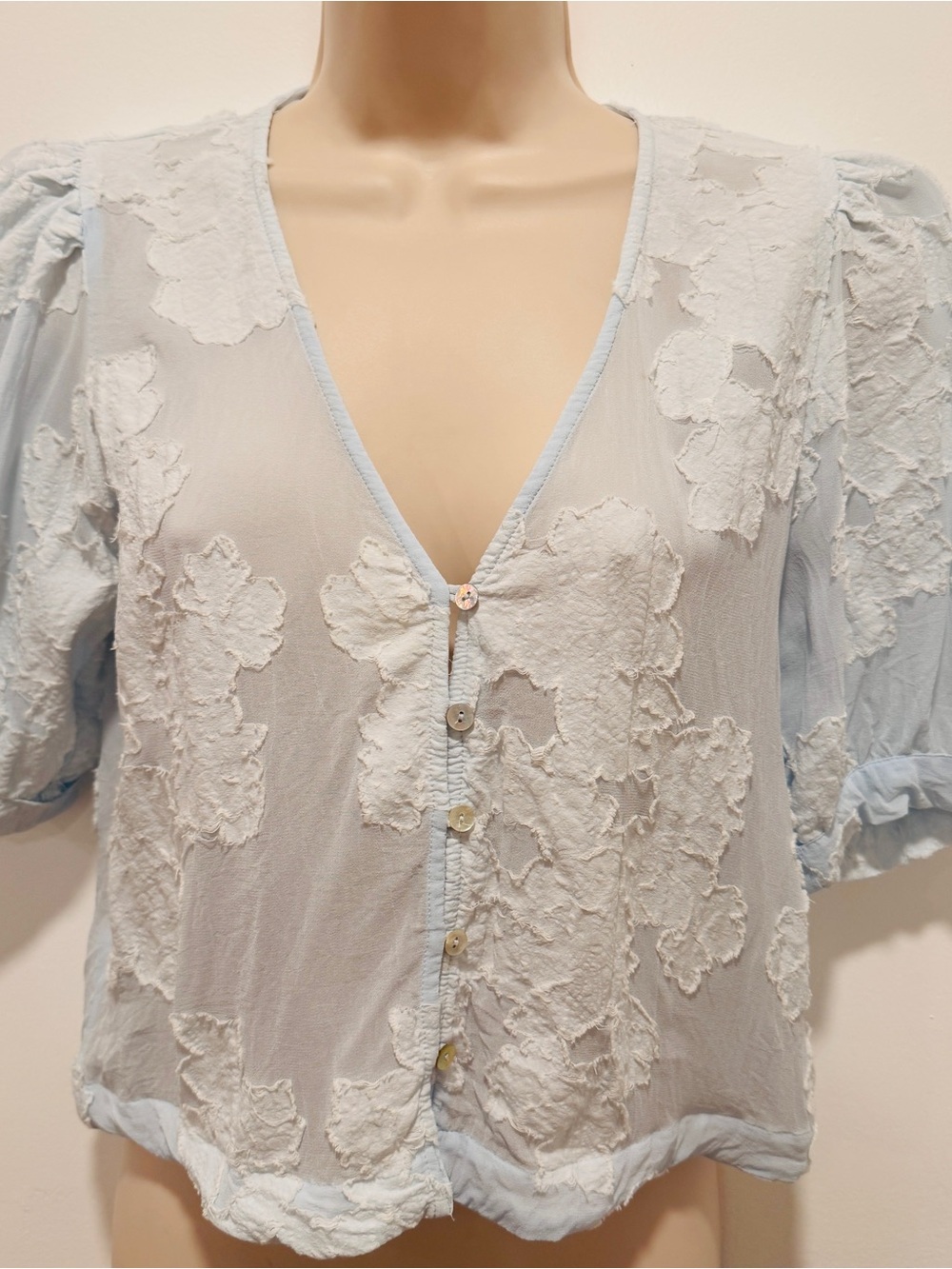 Aritzia Wilfred Women M Blue Floral Embroidered Button Front Puff Sleeve Blouse